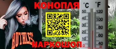 скорость Пугачёв