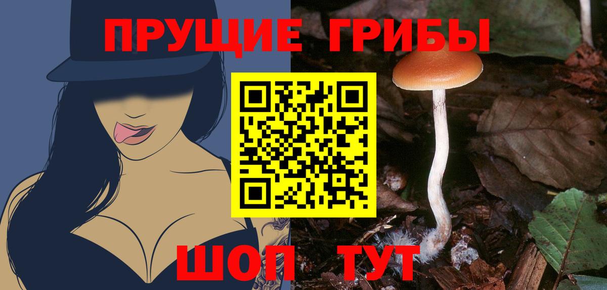 Псилоцибиновые грибы Psilocybine cubensis  Вход с VPN  Чусовой 